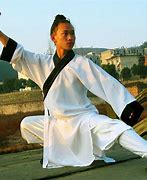 Image result for Wudang Martial Arts