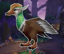 Image result for WoW Dragon Hunter Pets