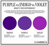 Image result for Indigo and Purple Side by Side