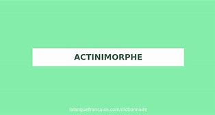Image result for actinimorfo