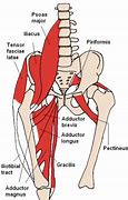 Image result for Body Chain in Hip