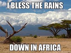 Image result for African Memes