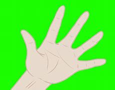 Image result for Anime Hand Greenscreen