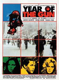 Image result for Year of the Gun
