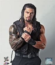 Image result for The Shield WWE Roman Reigns