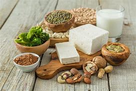 Image result for Lacto Vegetarianism