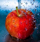 Image result for Apple Photography Lifestyle