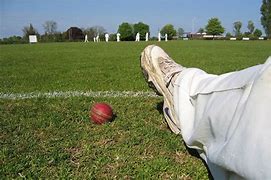 Image result for Cricket Information