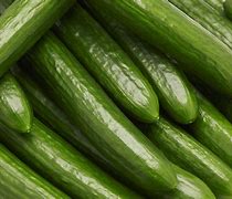 Image result for Cucumber Varieties