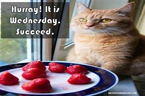 Image result for Wednesday Hurray