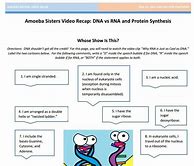 Image result for Amoeba Sisters DNA vs RNA
