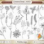 Image result for Winter Foliage Clip Art