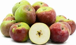 Image result for Macoun Apple