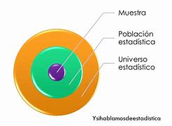 Image result for Definicion De Estadistico