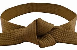 Image result for brown belts martial arts definition