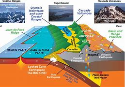 Image result for Convergent Boundary Earthquake