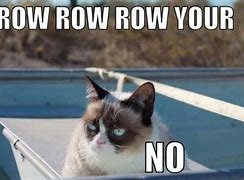 Image result for Grumpy Cat Memes No Gum Clean