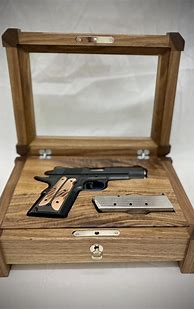 Image result for 6 Pistol Gun Case