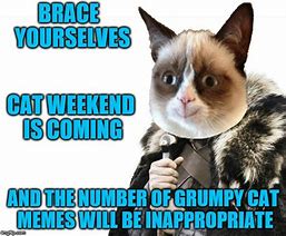 Image result for Happy New Year Grumpy Cat Meme