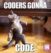 Image result for Coding Animal Funny