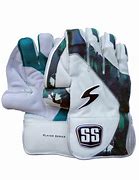 Image result for Cricket Wicketkeeper Gloves