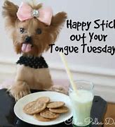 Image result for Funny Tuesday Morning Sayings