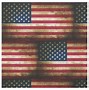 Image result for American Flag Material