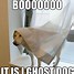 Image result for Scary Funny Ghost Memes