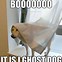 Image result for Spooky Ghost Meme