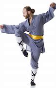 Image result for 7 Kung Fu Styles