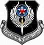 Image result for Air Force Special Operations Command