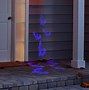 Image result for Purple Bat Lights
