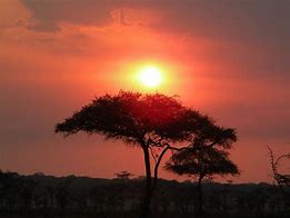Image result for Africa Kenya Masai Mara Sunset
