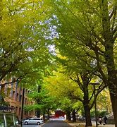 Image result for Chuo Tokyo University Cumpus