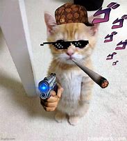 Image result for Gen Z Cat Memes