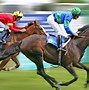 Image result for Horse Race Photo Finish