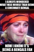 Image result for Bengals Fans Memes