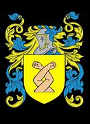 Image result for Danaher Irish Family Crest