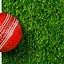 Image result for ABC Magazine Cricket