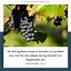 Image result for Summer Bible Verses