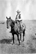 Image result for Wild Horse Cowboy Riding