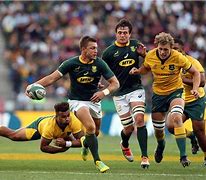 Image result for SA Rugby
