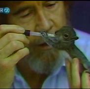 Image result for Bob Ross with Squirrel