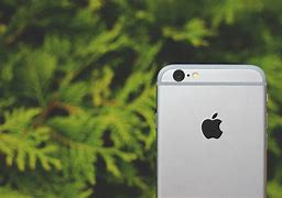 Image result for iPhone 7 Plus Rose Gold