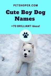 Image result for Boy Dog Names by Theme
