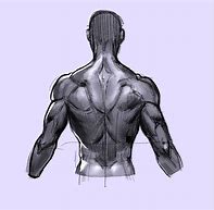 Image result for Back View Drawing