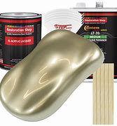 Image result for Champagne Metallic Paint