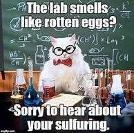 Image result for Science Cat Memes