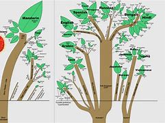 Image result for Complete Language Family Tree