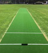 Image result for Cricket Roof Pitch